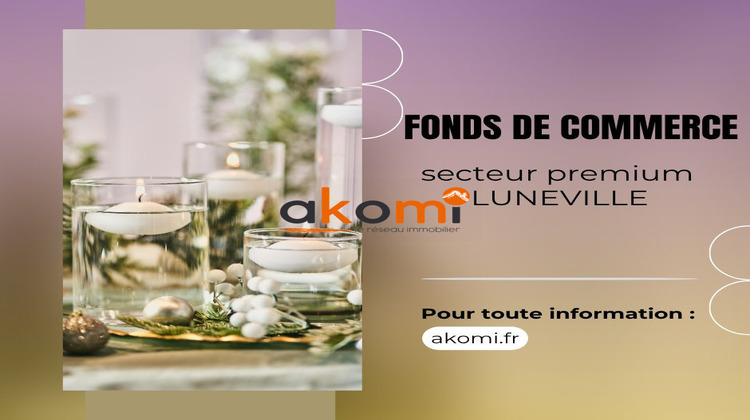 Ma-Cabane - Vente Boutique Lunéville, 250 m²