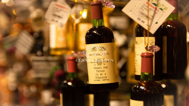 Ma-Cabane - Vente Boutique Lyon 05, 40 m²