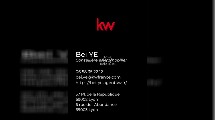 Ma-Cabane - Vente Boutique Lyon 06, 96 m²