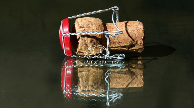 Ma-Cabane - Vente Boutique Lyon, 88 m²