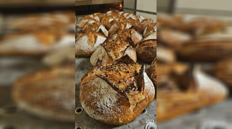 Ma-Cabane - Vente Boutique Maisse, 80 m²