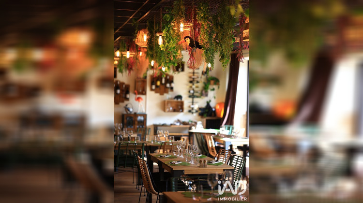Ma-Cabane - Vente Boutique Marssac-sur-Tarn, 213 m²