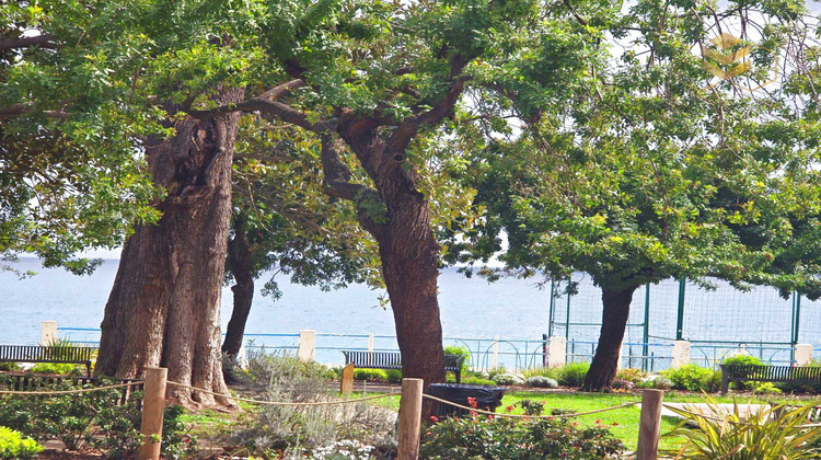 Ma-Cabane - Vente Boutique Menton, 60 m²