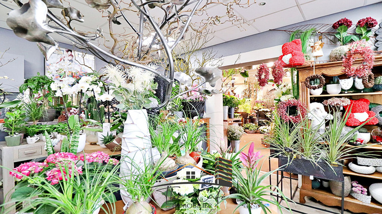 Ma-Cabane - Vente Boutique METZ, 90 m²