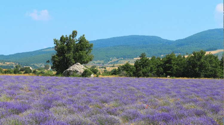 Ma-Cabane - Vente Boutique Montélimar, 1000 m²