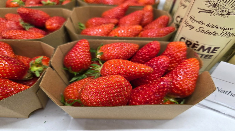 Ma-Cabane - Vente Boutique MONTPELLIER, 50 m²