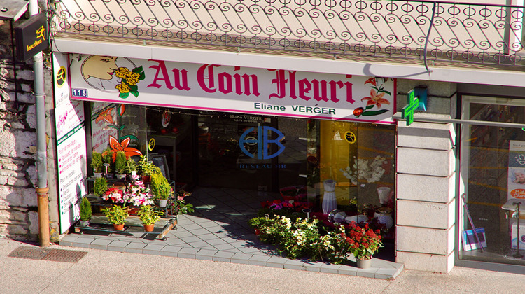 Ma-Cabane - Vente Boutique MORESTEL, 125 m²