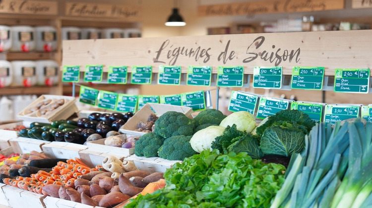 Ma-Cabane - Vente Boutique MOUANS SARTOUX, 90 m²