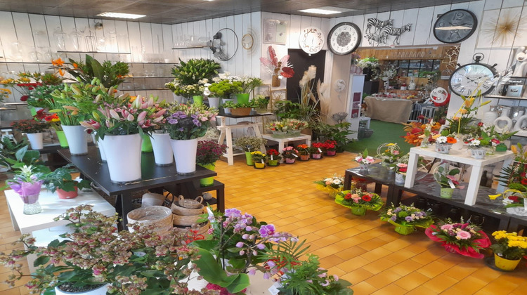 Ma-Cabane - Vente Boutique Moulins, 280 m²