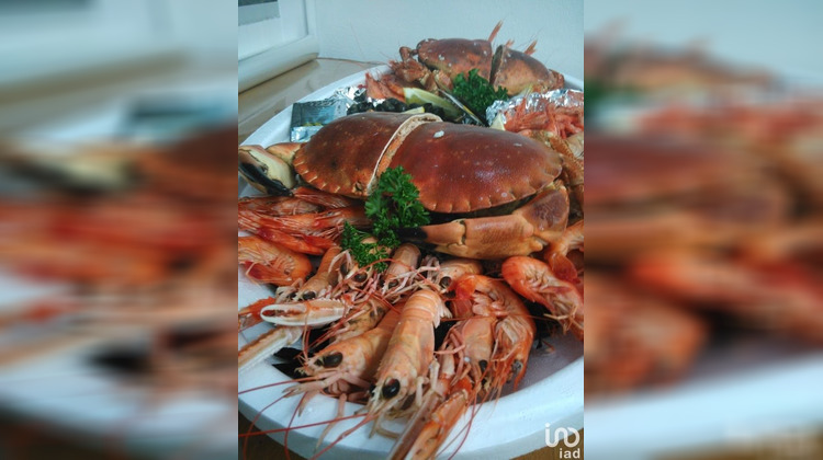 Ma-Cabane - Vente Boutique Nantes, 65 m²