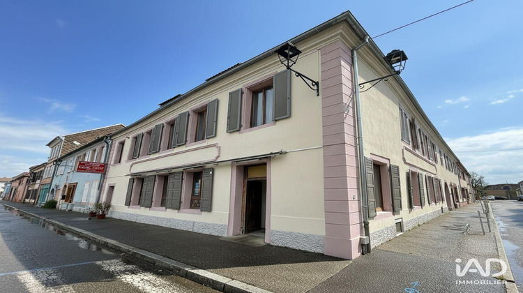 Ma-Cabane - Vente Boutique Neuf-Brisach, 140 m²