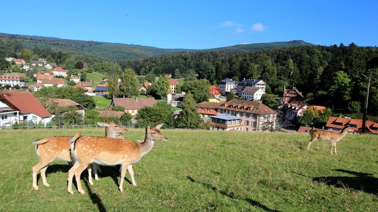 Ma-Cabane - Vente Boutique OBERNAI, 1155 m²