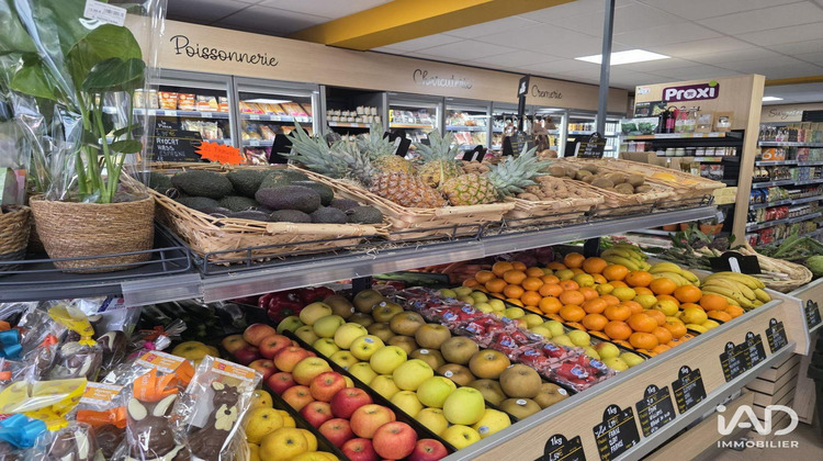 Ma-Cabane - Vente Boutique Olette, 140 m²