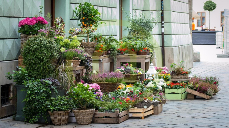 Ma-Cabane - Vente Boutique PARIS 17EME ARRONDISSEMENT, 113 m²