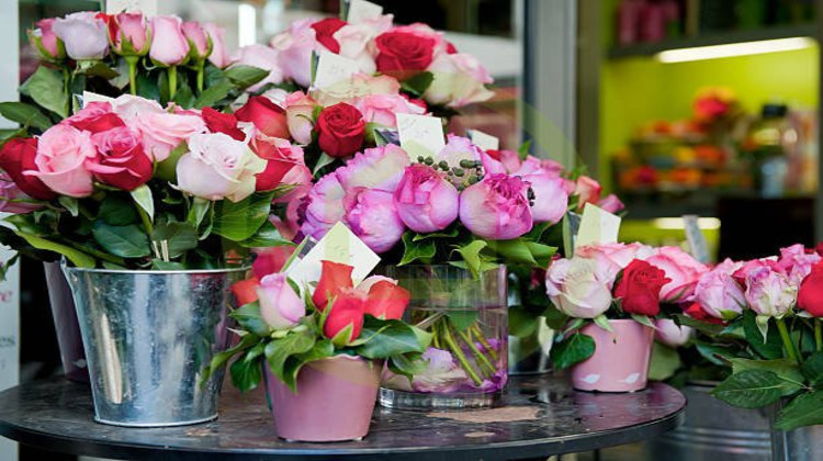 Ma-Cabane - Vente Boutique PARIS 17EME ARRONDISSEMENT, 113 m²