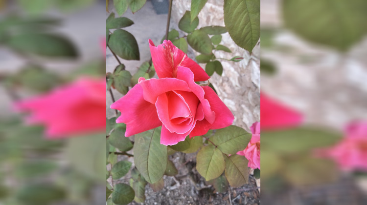 Ma-Cabane - Vente Boutique Paris, 75 m²