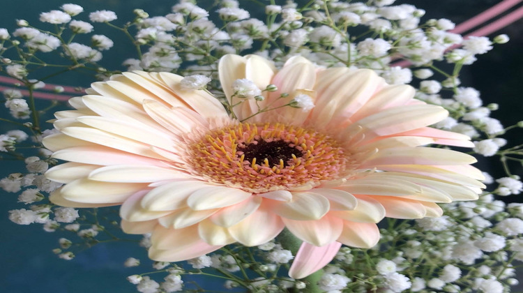 Ma-Cabane - Vente Boutique Paris, 85 m²