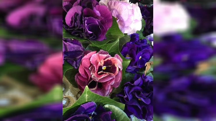 Ma-Cabane - Vente Boutique Paris, 35 m²