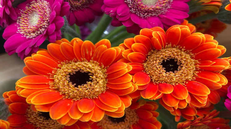 Ma-Cabane - Vente Boutique Paris, 90 m²