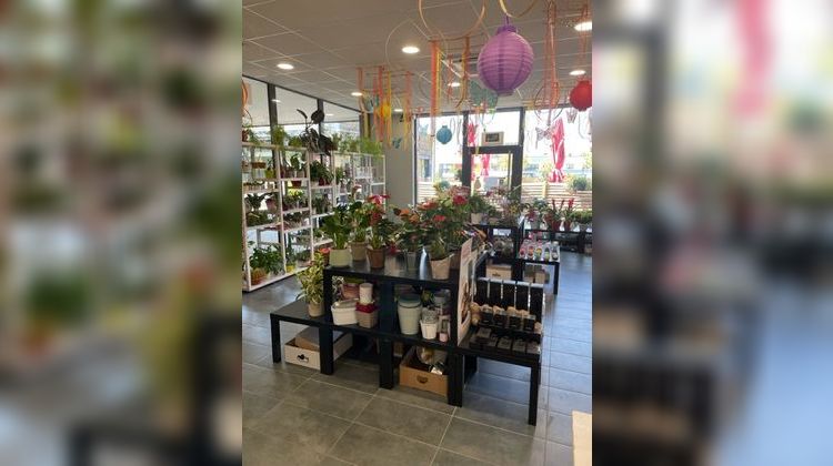 Ma-Cabane - Vente Boutique PELTRE, 88 m²