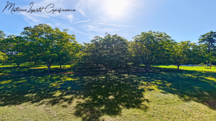 Ma-Cabane - Vente Boutique PERIGUEUX, 575 m²