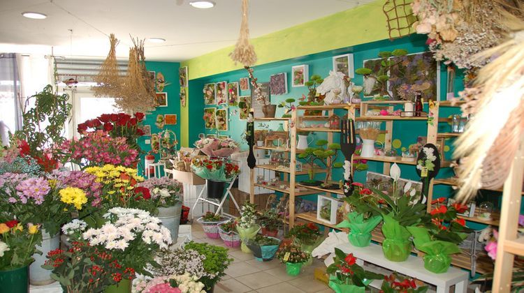 Ma-Cabane - Vente Boutique PEZENAS, 70 m²