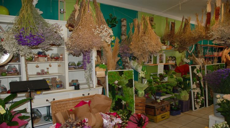 Ma-Cabane - Vente Boutique PEZENAS, 70 m²