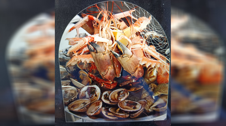 Ma-Cabane - Vente Boutique PLERIN, 25 m²