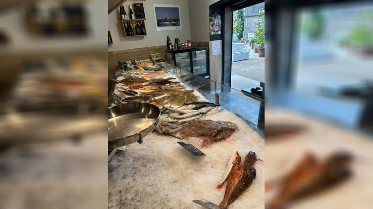 Ma-Cabane - Vente Boutique PLERIN, 25 m²