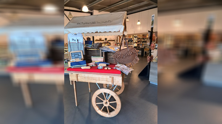 Ma-Cabane - Vente Boutique PLEUDANIEL, 200 m²