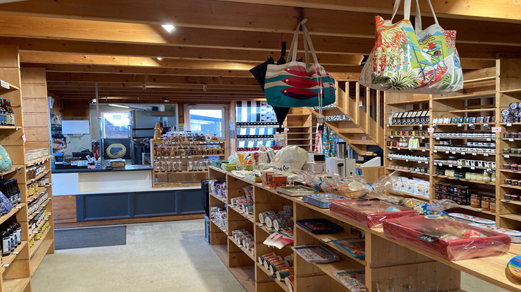 Ma-Cabane - Vente Boutique PLOGOFF, 636 m²