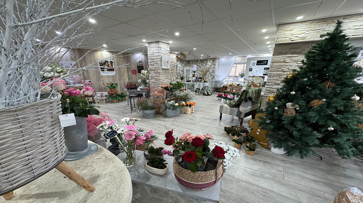 Ma-Cabane - Vente Boutique PONT-HEBERT, 100 m²