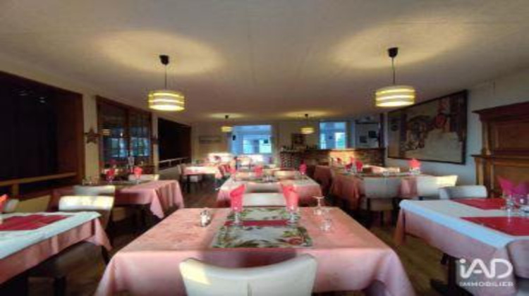 Ma-Cabane - Vente Boutique Pont-sur-Yonne, 520 m²