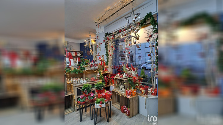 Ma-Cabane - Vente Boutique Puttelange-Aux-Lacs, 95 m²