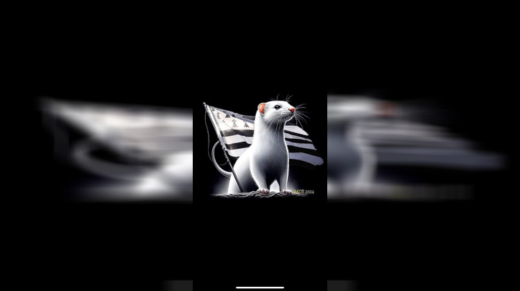 Ma-Cabane - Vente Boutique Rennes, 70 m²