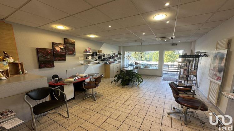 Ma-Cabane - Vente Boutique Roppentzwiller, 83 m²