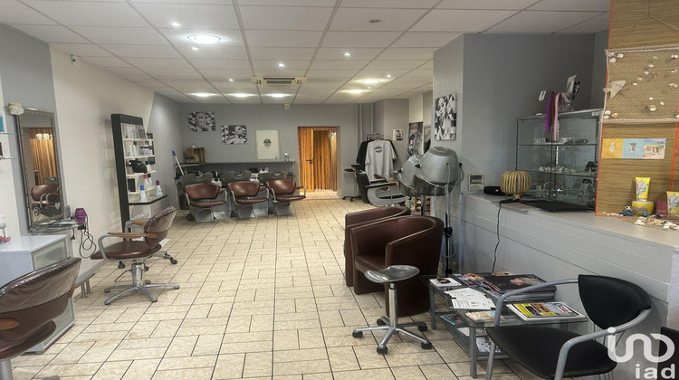Ma-Cabane - Vente Boutique Roppentzwiller, 83 m²