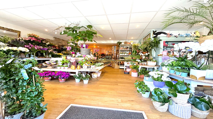 Ma-Cabane - Vente Boutique ROSCOFF, 71 m²