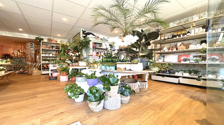 Ma-Cabane - Vente Boutique ROSCOFF, 71 m²