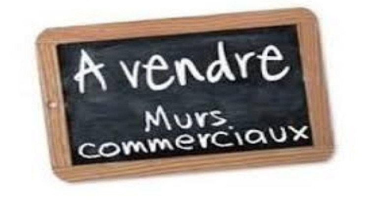 Ma-Cabane - Vente Boutique Rumilly, 320 m²