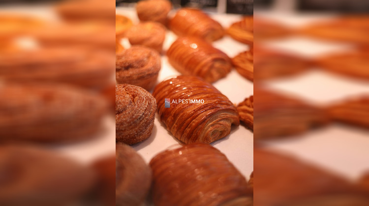 Ma-Cabane - Vente Boutique Saint-Égrève, 134 m²