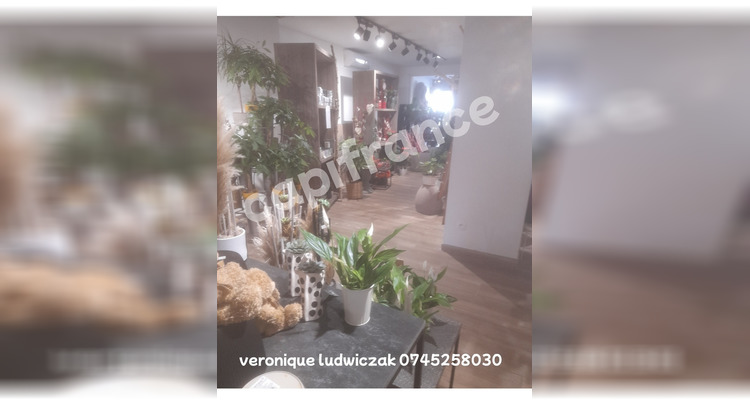 Ma-Cabane - Vente Boutique SAINT AMAND LES EAUX, 100 m²