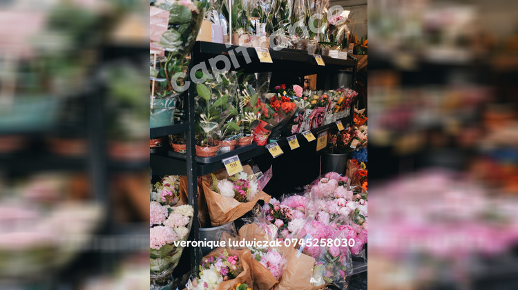 Ma-Cabane - Vente Boutique SAINT AMAND LES EAUX, 100 m²