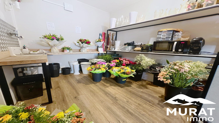Ma-Cabane - Vente Boutique Saint-Amant-Tallende, 35 m²