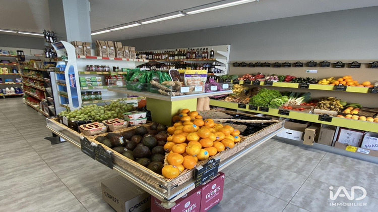 Ma-Cabane - Vente Boutique Saint-Armel, 141 m²