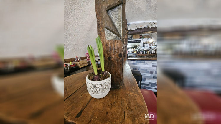 Ma-Cabane - Vente Boutique Saint-Crépin, 170 m²