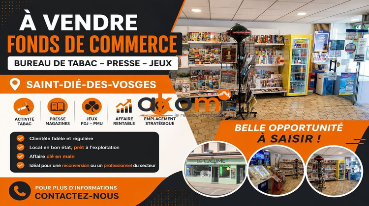 Ma-Cabane - Vente Boutique Saint-Dié-des-Vosges, 55 m²