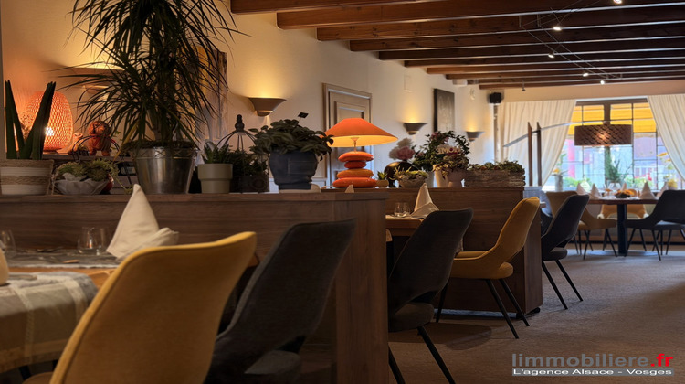 Ma-Cabane - Vente Boutique Saint-Dié-des-Vosges, 900 m²
