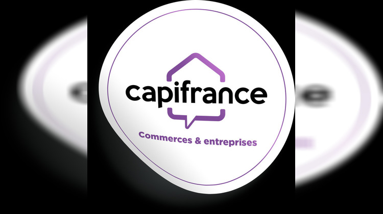 Ma-Cabane - Vente Boutique SAINT HILAIRE DE VOUST, 509 m²