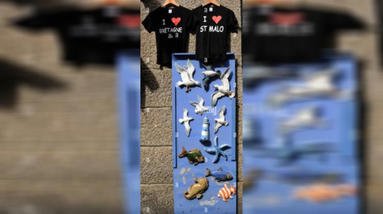 Ma-Cabane - Vente Boutique SAINT MALO, 60 m²